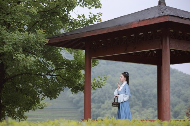 图片[17]-唯有山茶偏耐久，绿丛又放数枝红。-忙忙软件库