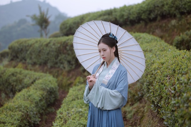 图片[20]-唯有山茶偏耐久，绿丛又放数枝红。-忙忙软件库