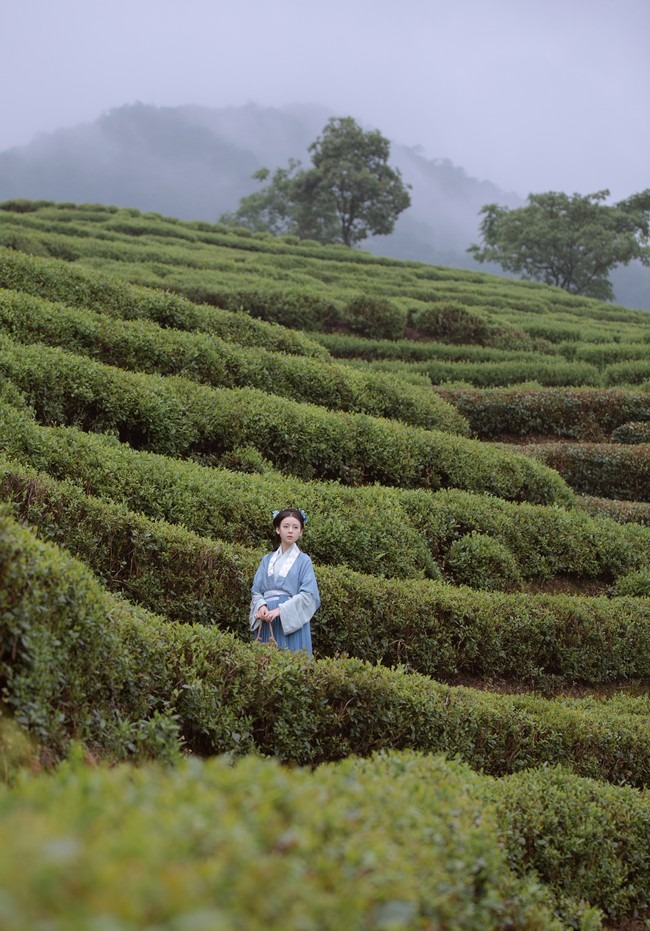 图片[19]-唯有山茶偏耐久，绿丛又放数枝红。-忙忙软件库