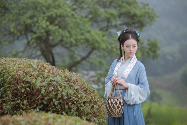 图片[21]-唯有山茶偏耐久，绿丛又放数枝红。-忙忙软件库