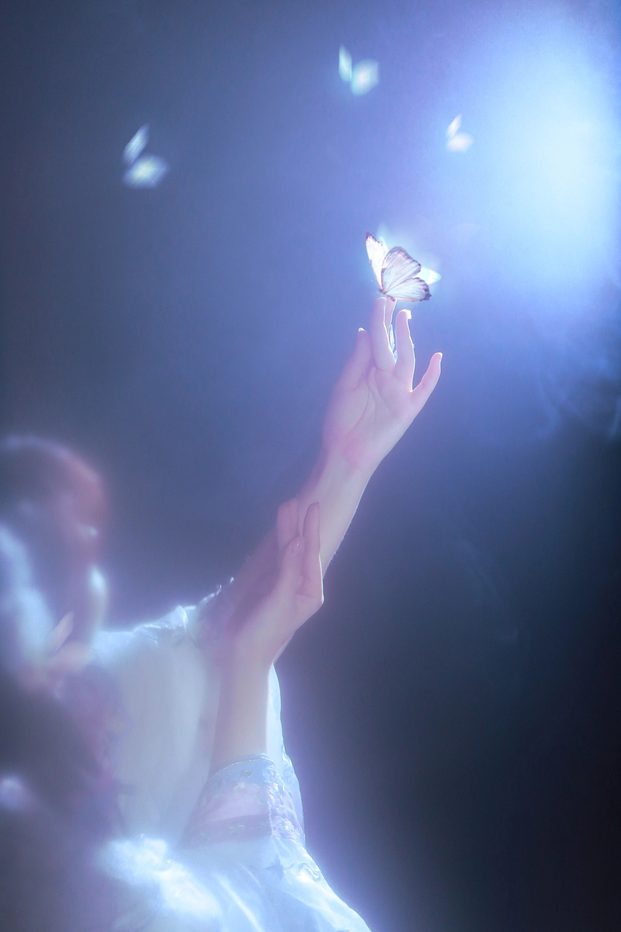 图片[1]-蝶梦飞花，春色满园。山川如酒敬旷世温柔至死方休-忙忙软件库