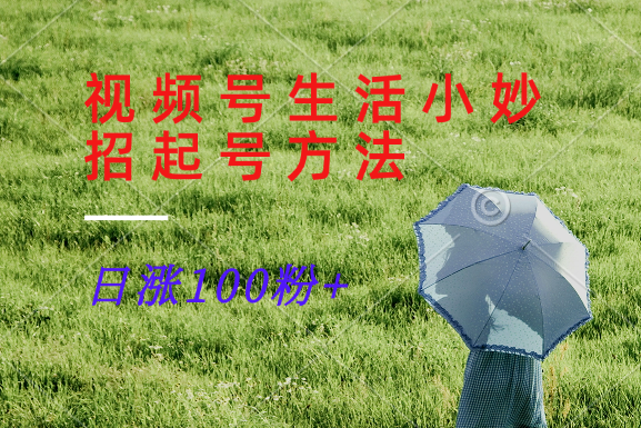 图片[1]-微信视频号生活小窍门共享跑道， 养号增粉新的方法，日涨100粉-忙忙软件库