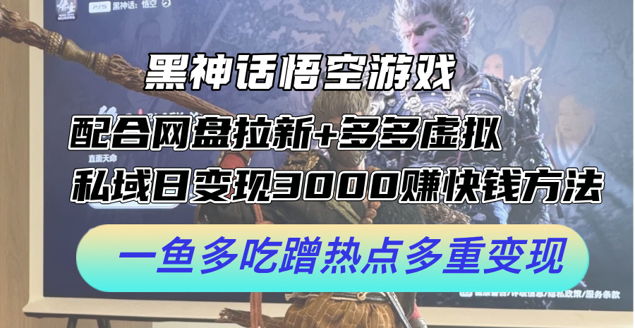 （12316期）黑神话悟空游戏配合网盘拉新+多多虚拟+私域日变现3000+赚快钱方法。…-忙忙软件库