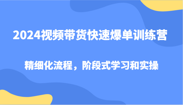 2024短视频带货迅速打造爆款夏令营，精细化管理步骤，环节式教学和实际操作-忙忙软件库