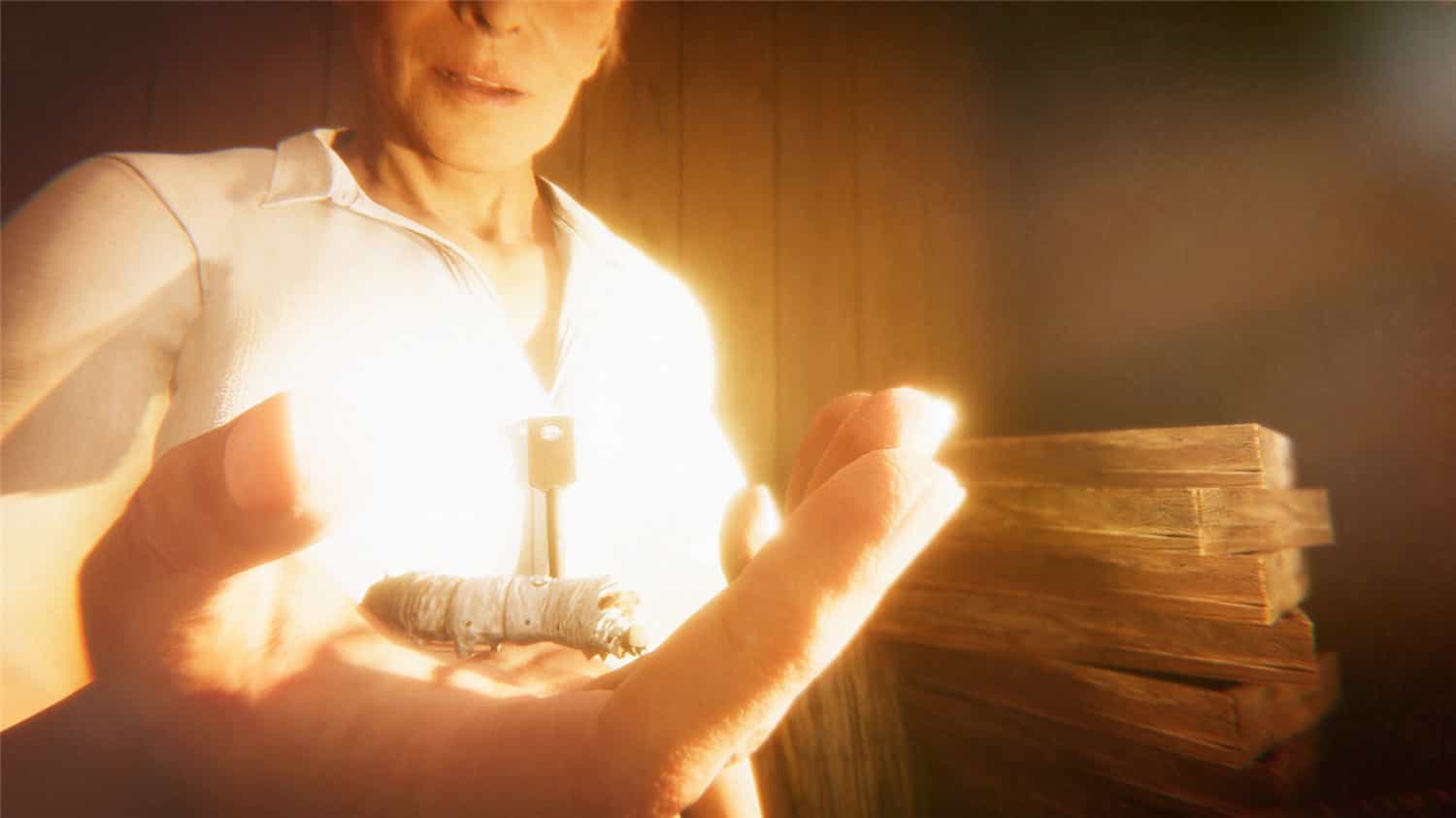 图片[1]-茧中蚕/Hollow Cocoon|官方简体中文-忙忙软件库