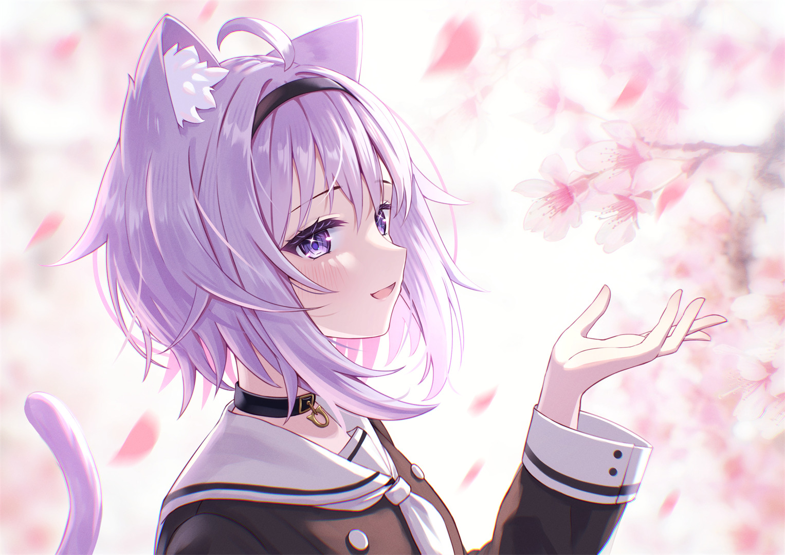 图片[2]-玫瑰和克莱因蓝，未曾谋面也终会相遇-忙忙软件库