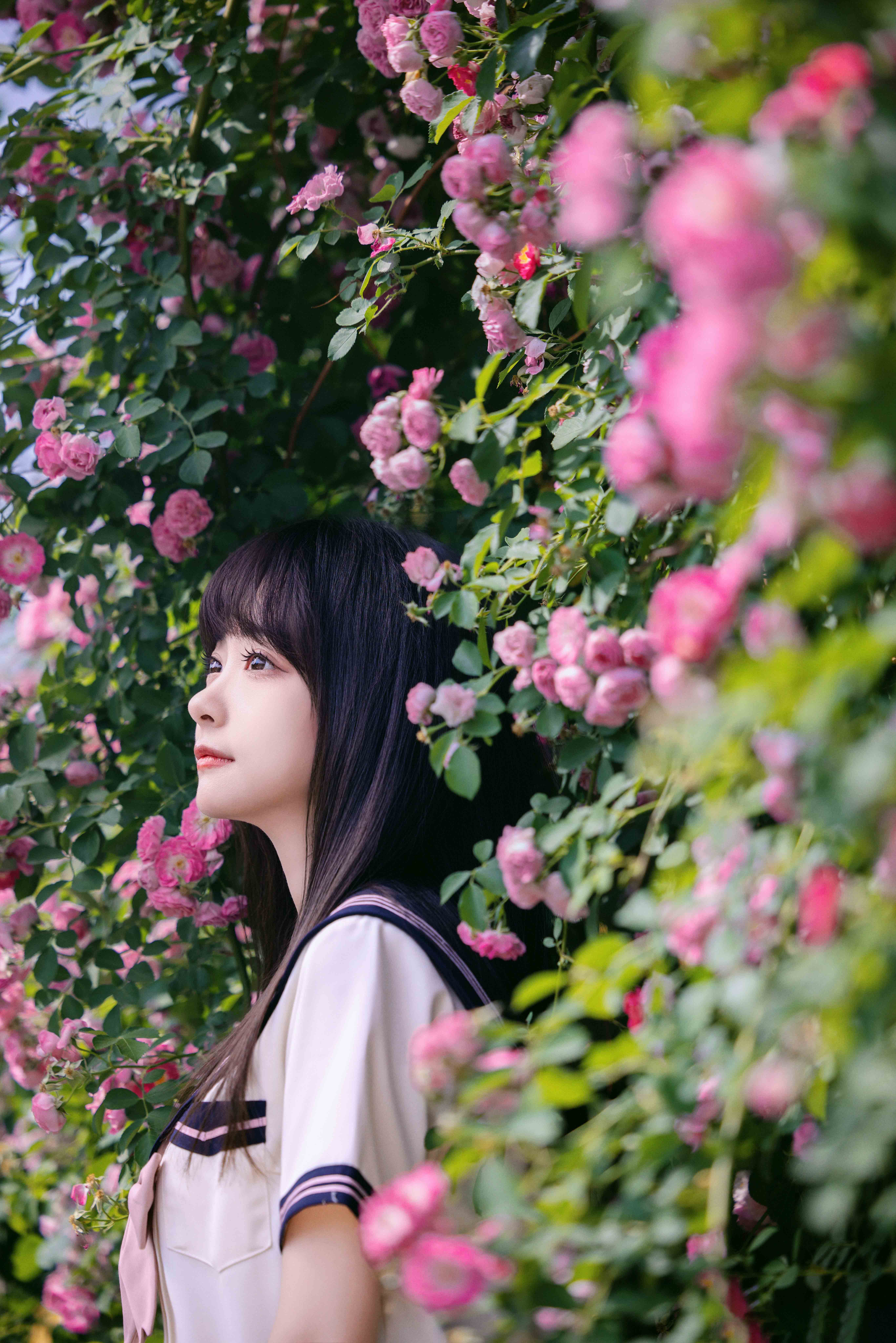 图片[3]-花期很短，但青春很长～-忙忙软件库