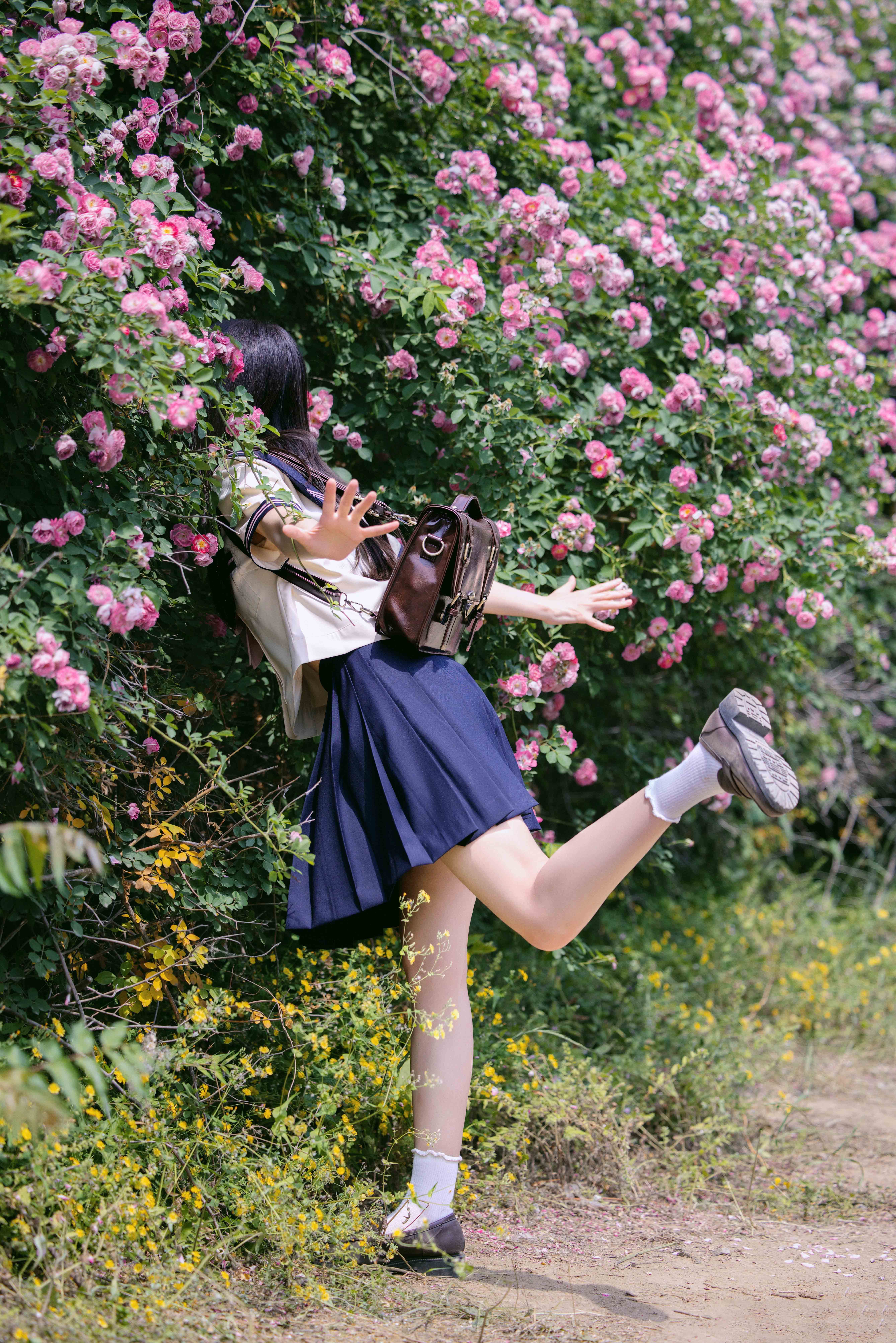 图片[1]-花期很短，但青春很长～-忙忙软件库