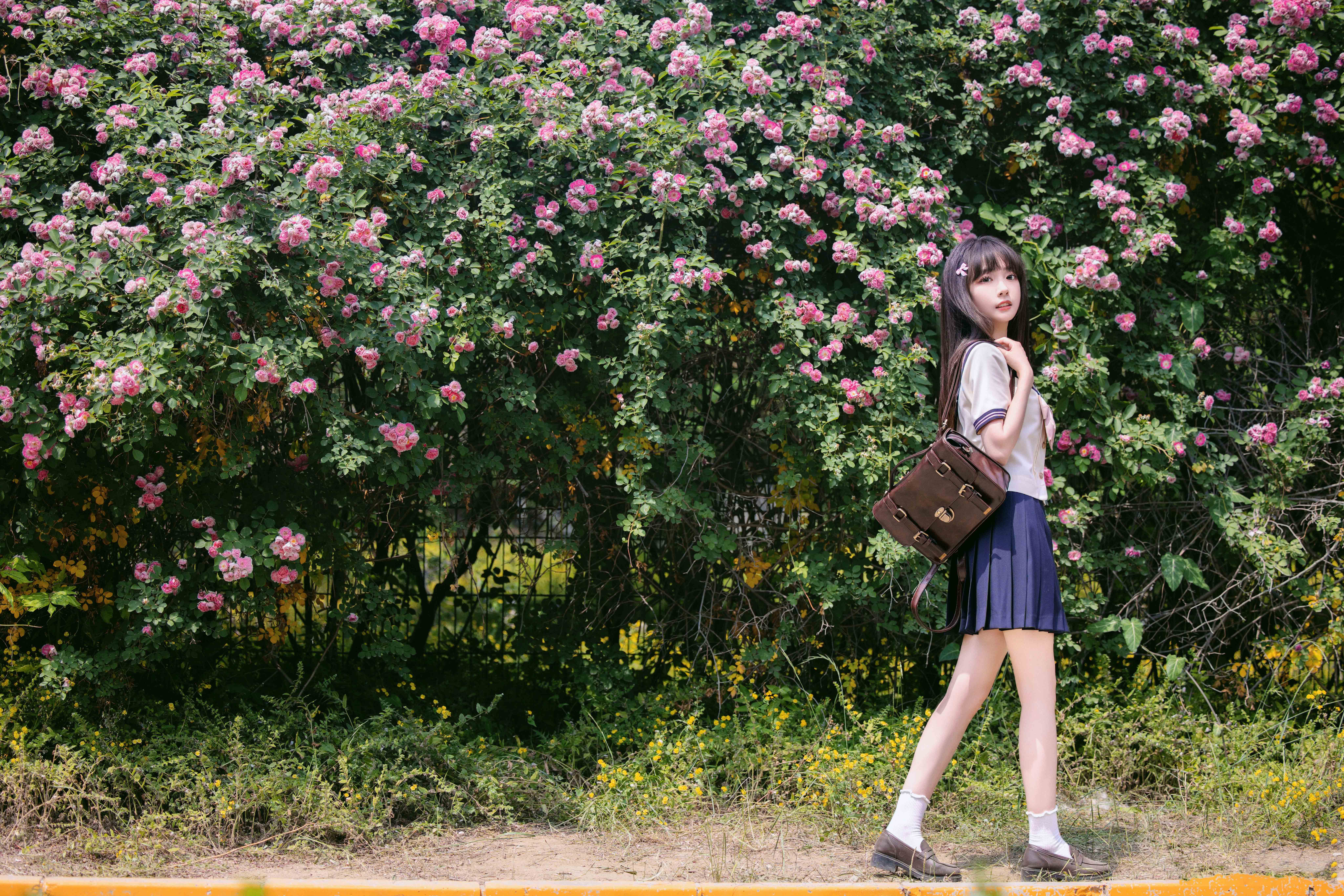 图片[4]-花期很短，但青春很长～-忙忙软件库