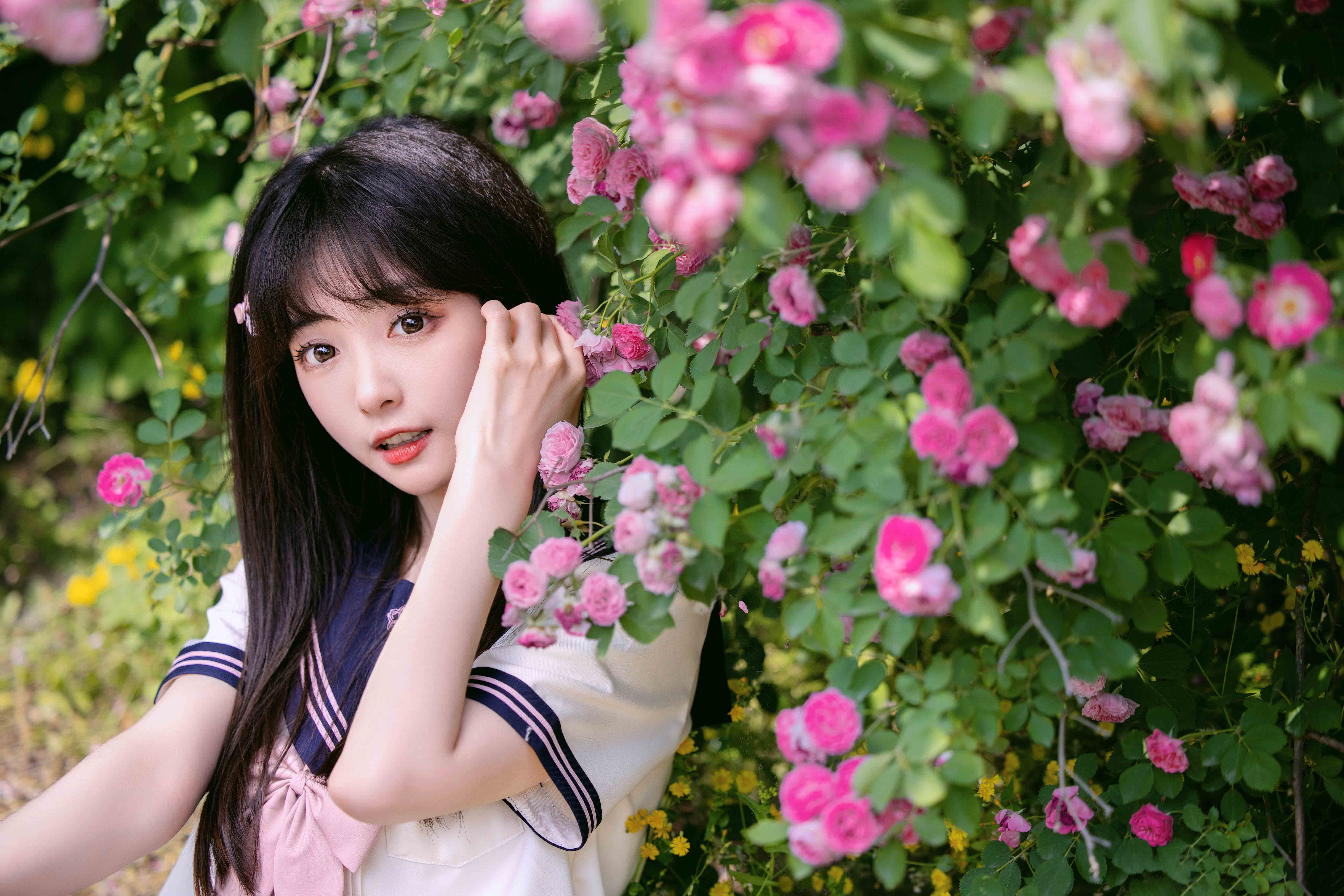 图片[9]-花期很短，但青春很长～-忙忙软件库