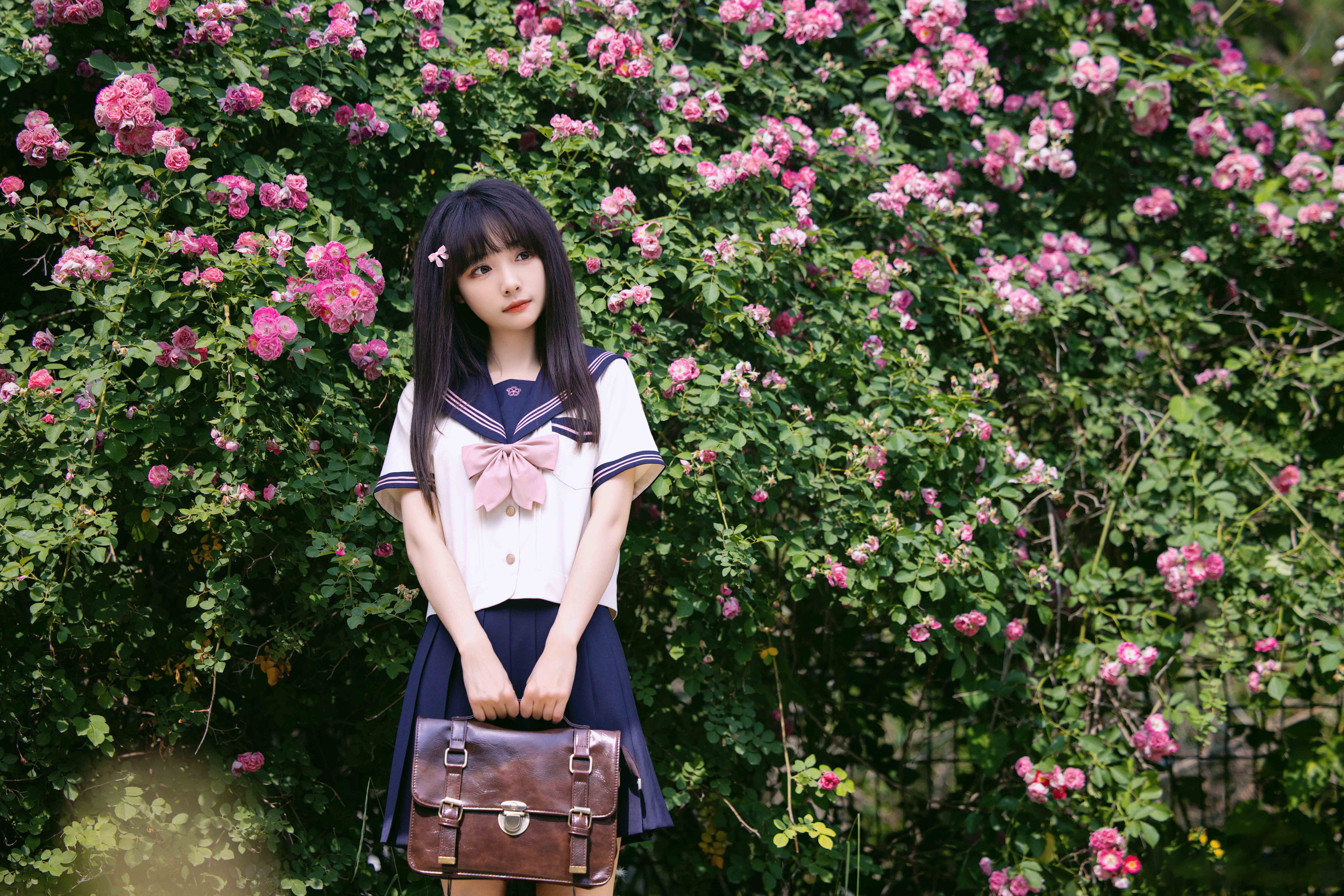 图片[7]-花期很短，但青春很长～-忙忙软件库