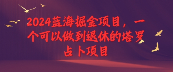 图片[1]-2024瀚海掘金队新项目，一个能做到退休塔罗牌占卜新项目-忙忙软件库