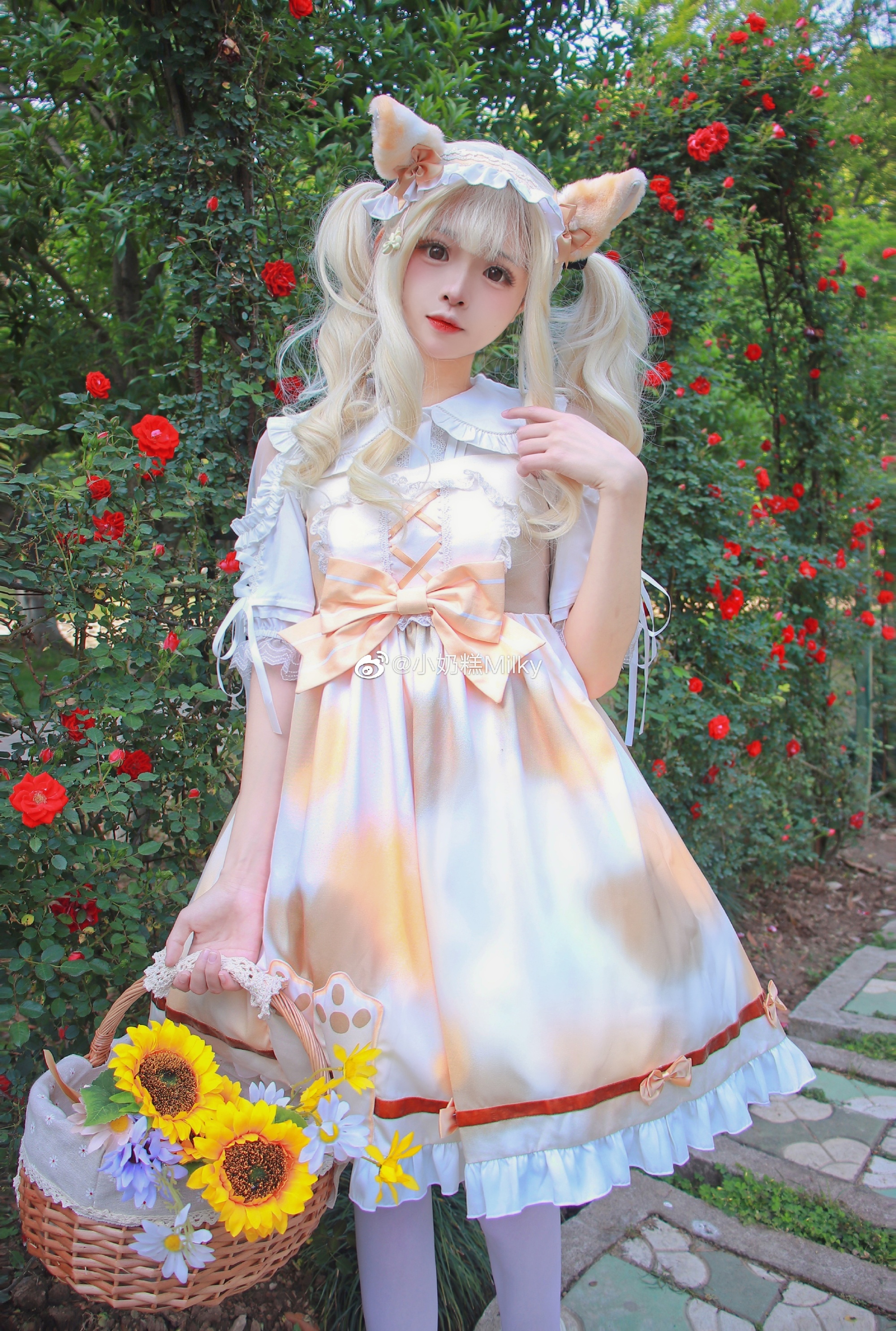 图片[5]-听了风的话我去了想去的地方-忙忙软件库