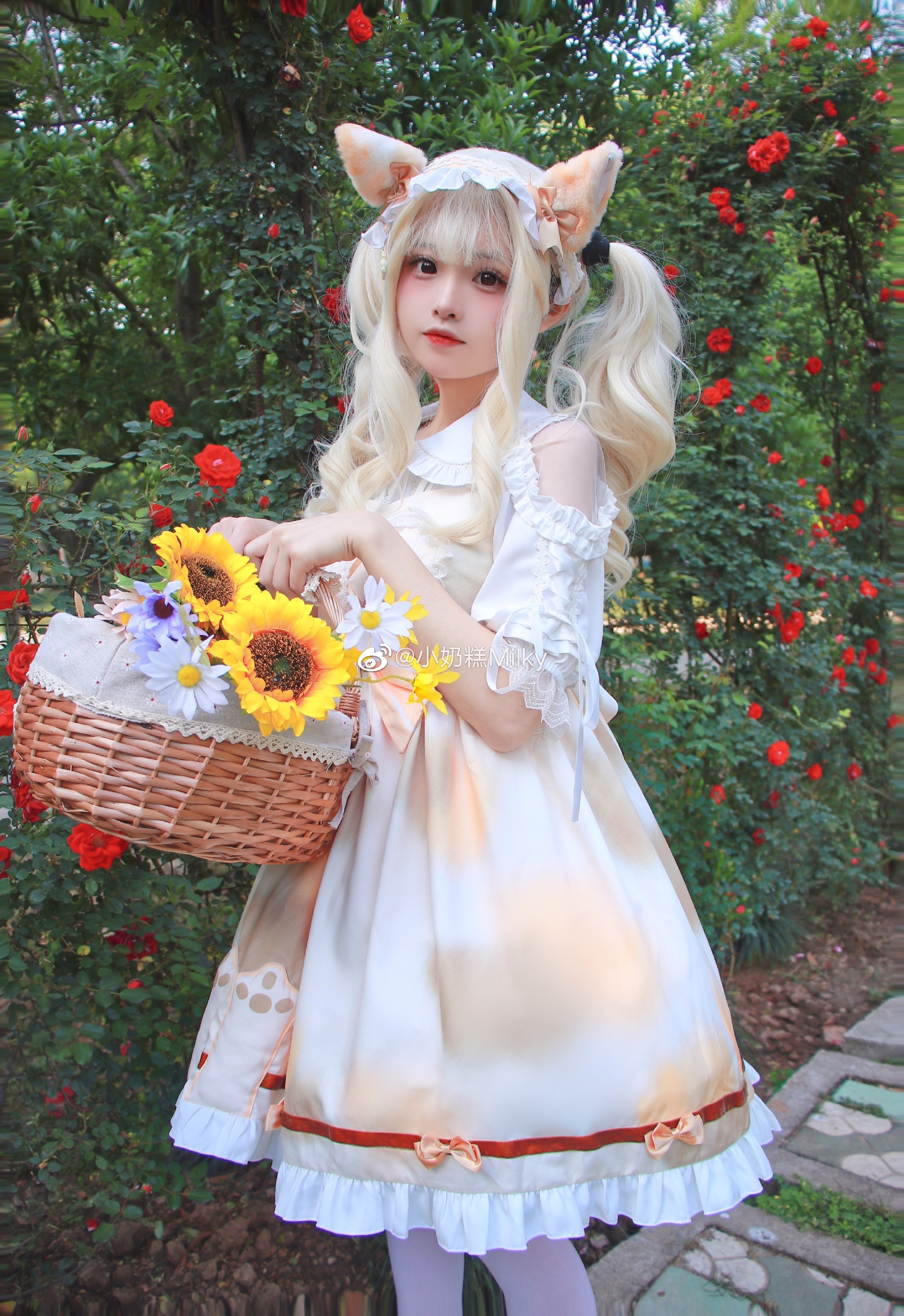 图片[6]-听了风的话我去了想去的地方-忙忙软件库