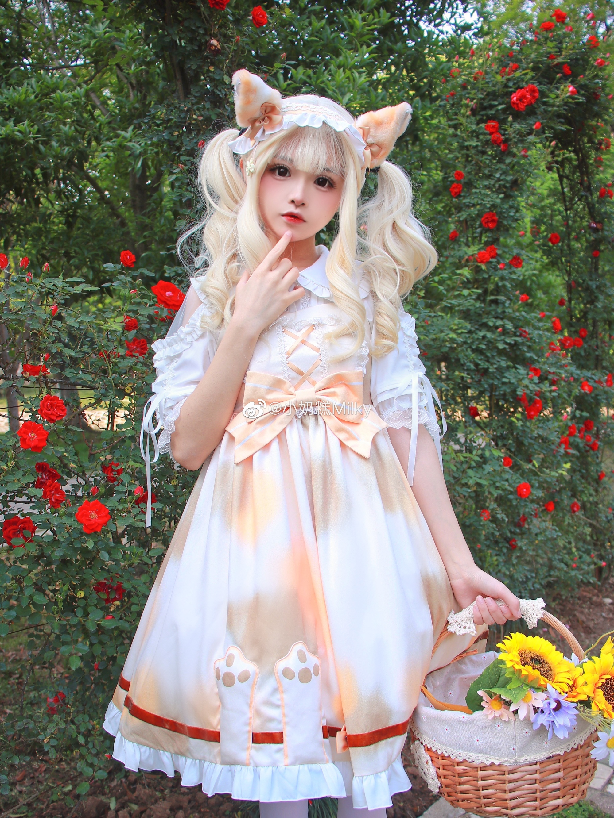 图片[4]-听了风的话我去了想去的地方-忙忙软件库