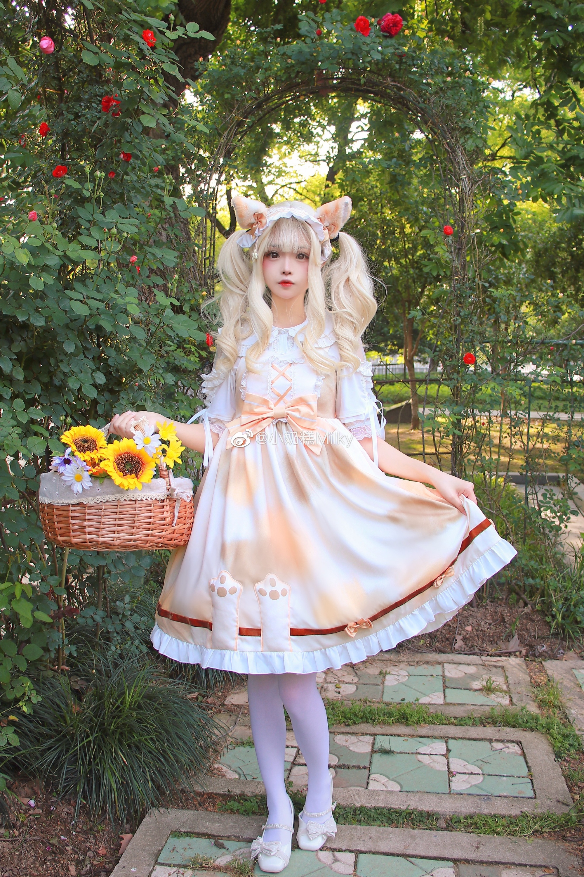 图片[8]-听了风的话我去了想去的地方-忙忙软件库