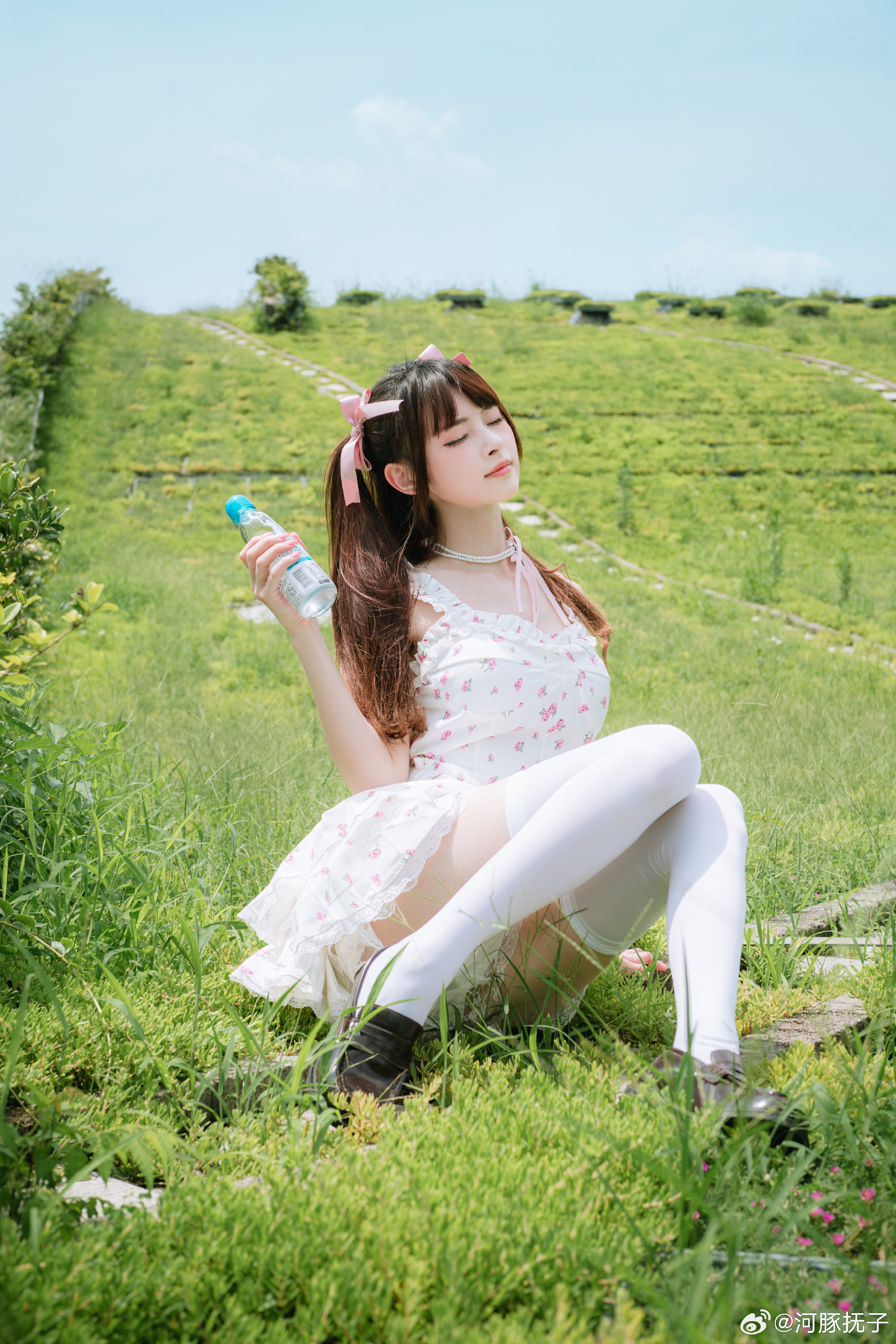 图片[7]-角落那窗口问得到玫瑰花香-忙忙软件库