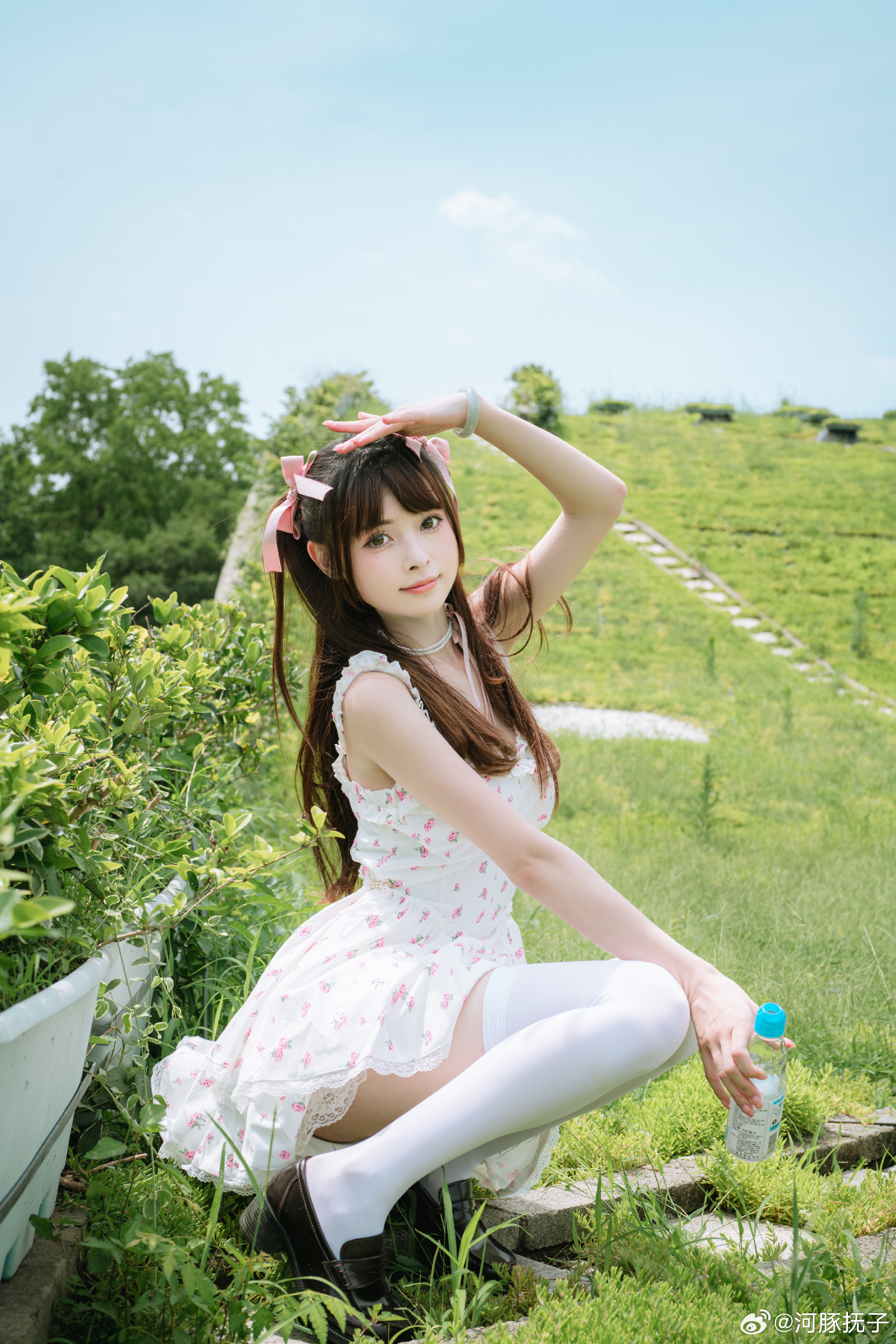 图片[9]-角落那窗口问得到玫瑰花香-忙忙软件库