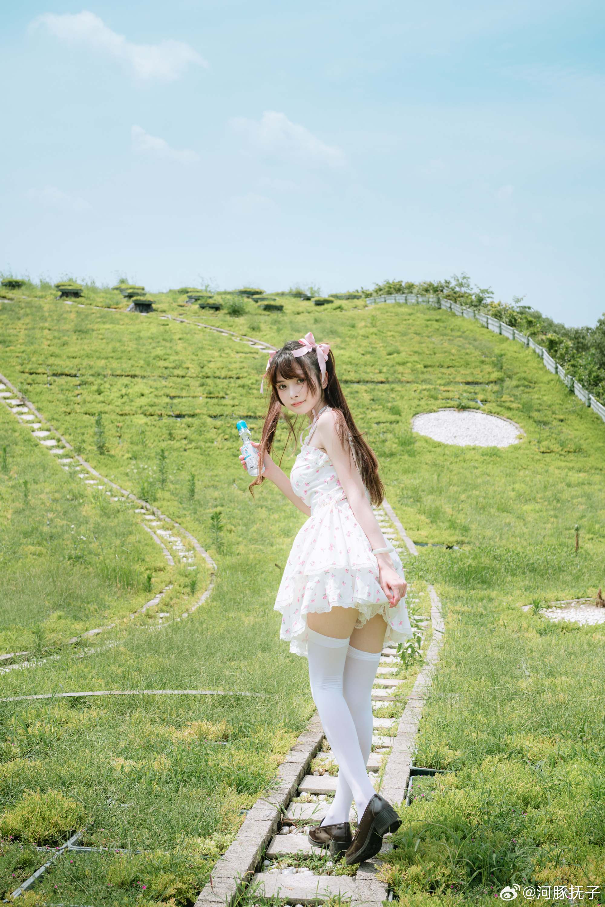 图片[6]-角落那窗口问得到玫瑰花香-忙忙软件库