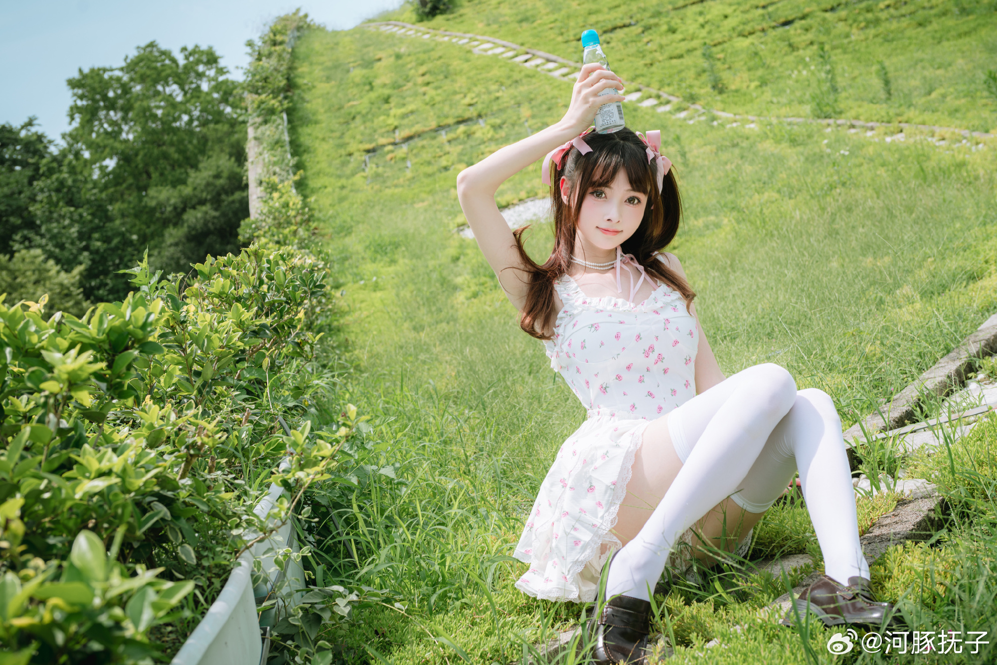 图片[11]-角落那窗口问得到玫瑰花香-忙忙软件库