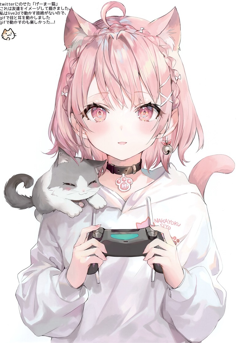 图片[3]-只是因为得不到，所以才假装不需要-忙忙软件库