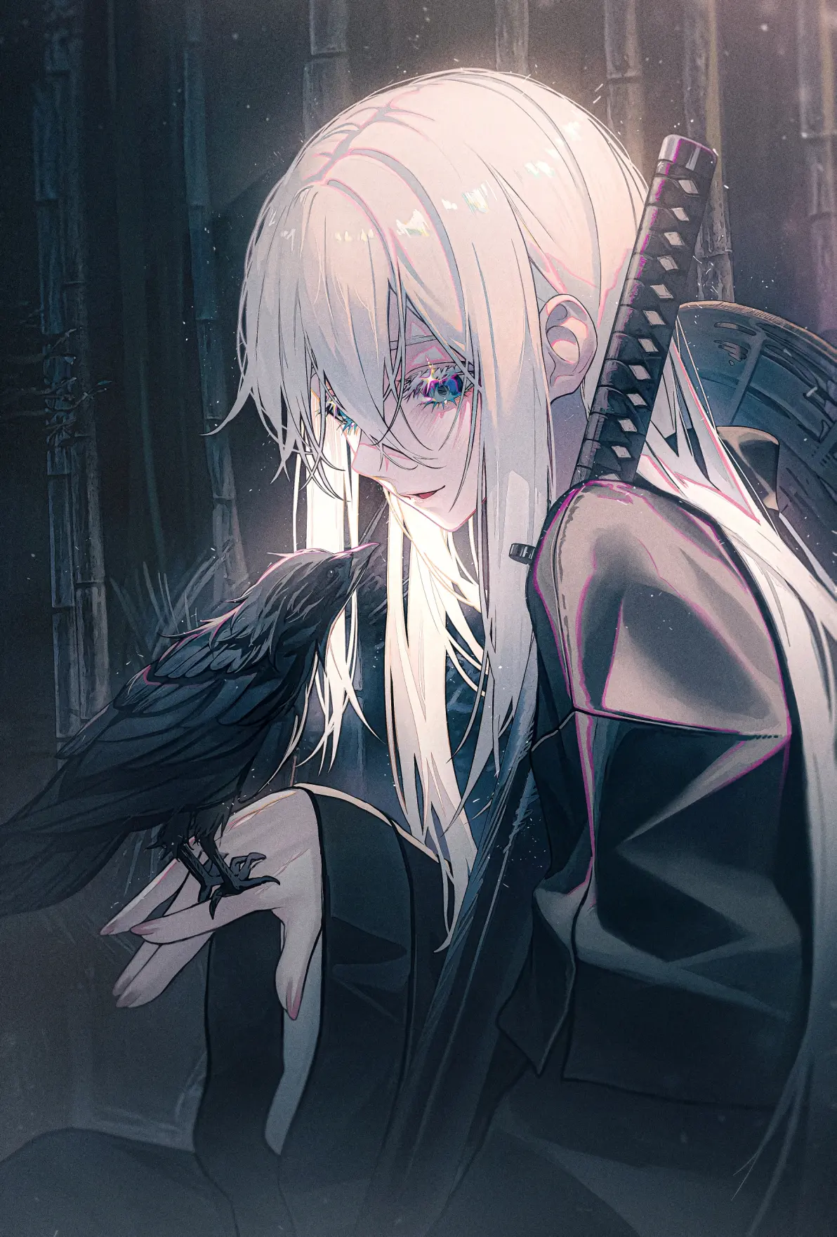 图片[13]-光影交错 – 白与黑插画特辑-忙忙软件库