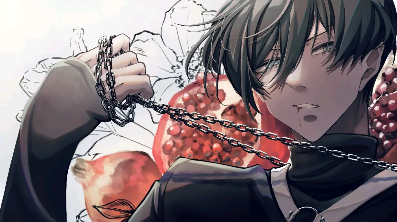 图片[5]-艳红宝石 – 石榴插画特辑-忙忙软件库