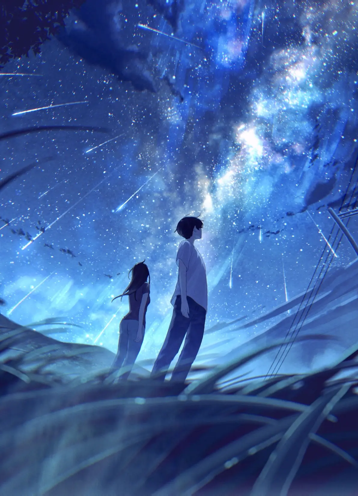 图片[8]-承载心愿 – 流星插画特辑-忙忙软件库