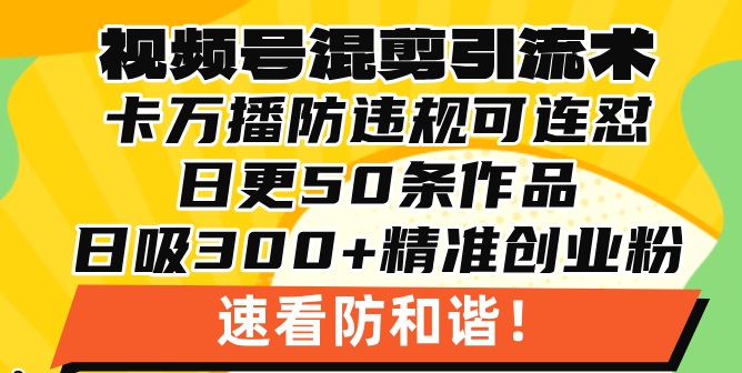 （13400期）微信视频号剪辑引流技术，500万播放视频引流方法17000自主创业粉，使用方便当日懂得-忙忙软件库