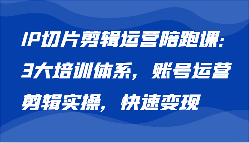 IP切片剪辑运营陪跑课，3大培训体系：账号运营 剪辑实操 快速变现-忙忙软件库