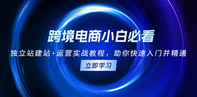 （13503期）跨境电商小白必看！独立站建站+运营实战教程，助你快速入门并精通-忙忙软件库