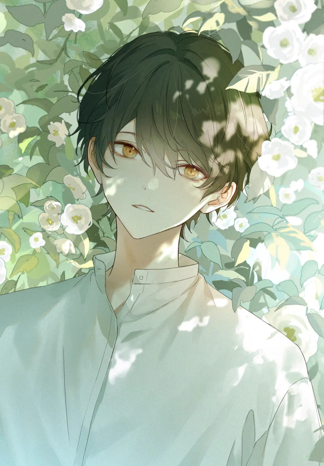 图片[8]-清新绽放 – 白色花卉插画特辑-忙忙软件库