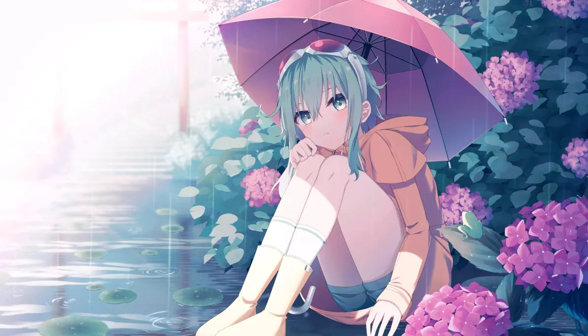 图片[5]-为雨景增色/绣球花插画特辑-忙忙软件库