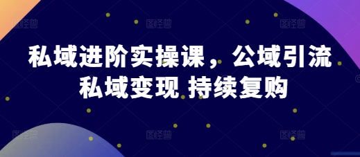 公域升阶实操课，公域流量引流方法 私域变现 不断回购-忙忙软件库