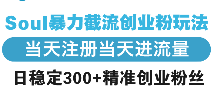 （13935期）Soul暴力截流创业粉玩法，当天注册当天进流量，日稳定300+精准创业粉丝-忙忙软件库