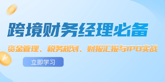 （12323期）跨境 财务经理必备：资金管理、税务规划、财报汇报与IPO实战-忙忙软件库