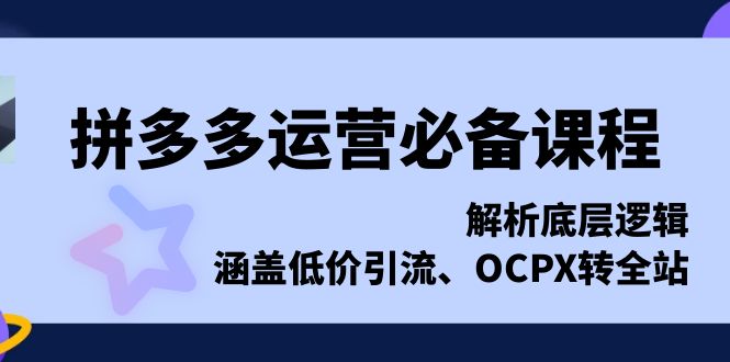 （13700期）拼多多运营必备课程，解析底层逻辑，涵盖低价引流、OCPX转全站-忙忙软件库