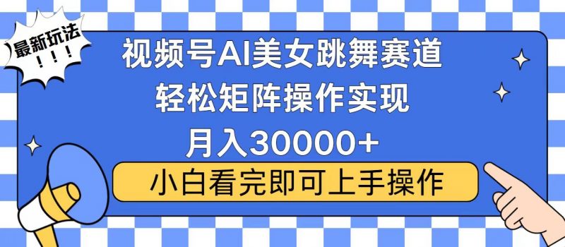 （13813期）视频号蓝海赛道玩法，当天起号，拉爆流量收益，小白也能轻松月入30000+-忙忙软件库