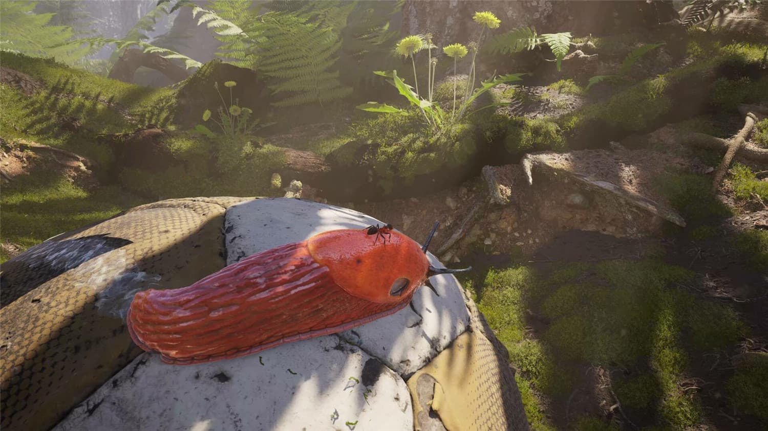 图片[6]-蚂蚁帝国/Empire of the Ants-忙忙软件库