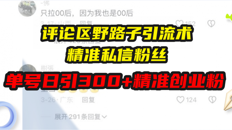 （13676期）评论区野路子引流术，精准私信粉丝，单号日引流300+精准创业粉-观竹阁