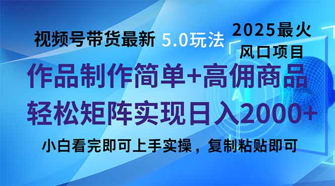 （14191期）视频号带货全新5.0游戏玩法，著作制作简单，当日养号，拷贝，轻轻松松引流矩阵…-忙忙软件库