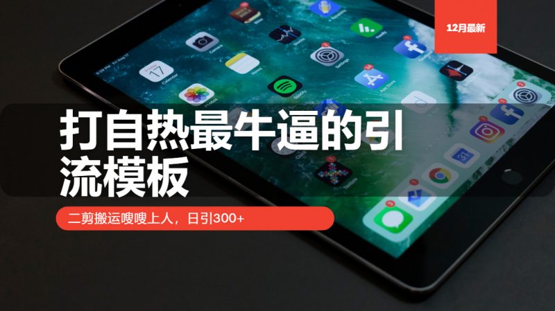 （13654期）打自热最牛逼的引流模板，二剪搬运嗖嗖上人，日引300+-忙忙软件库