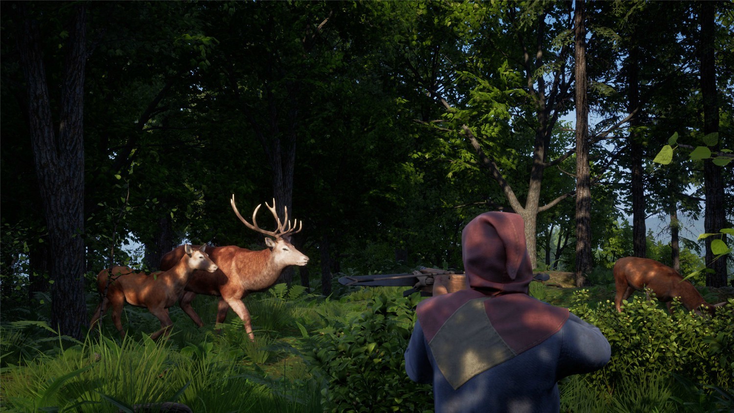 图片[3]-中世纪王朝/Medieval Dynasty|官方简体中文-忙忙软件库