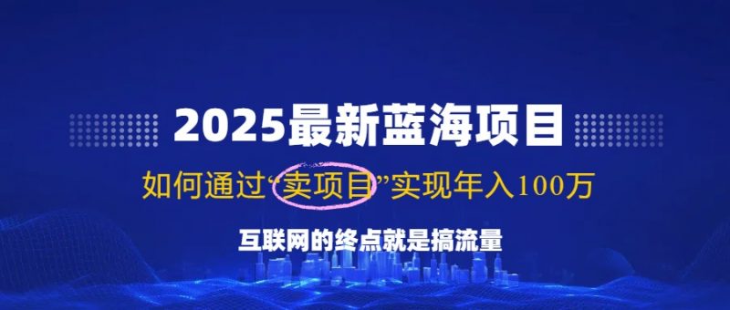 （14305期）2025全新蓝海项目，零门槛轻轻松松拷贝，月入10万 ，初学者也可以实际操作！-忙忙软件库