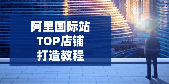 图片[1]-（14269期）阿里巴巴国际TOP店面打造出实例教程：包含服务平台到高级，处理经营困难，提高外贸询盘-观竹阁