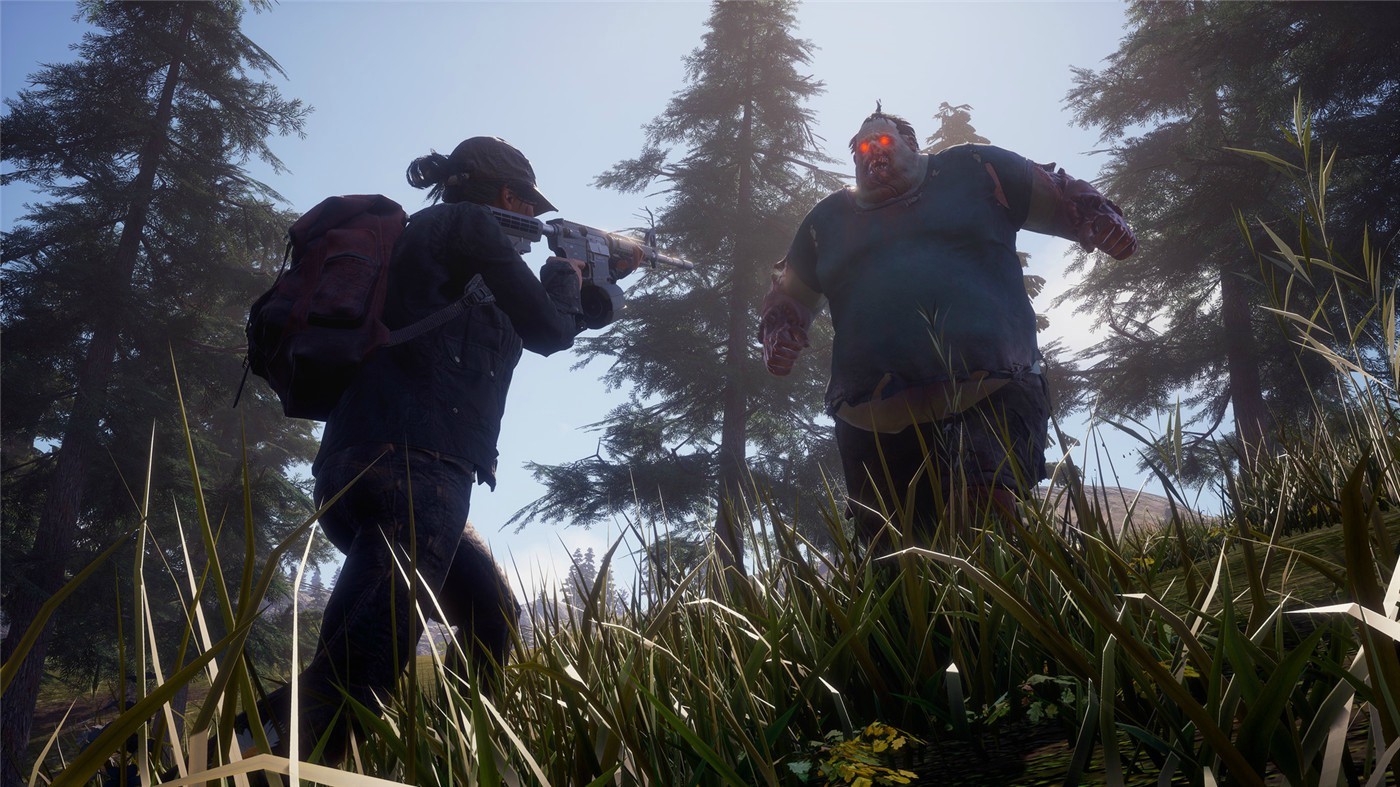 图片[3]-腐烂国度2:主宰巨霸版/State of Decay 2: Juggernaut Edition/支持网络联机-忙忙软件库