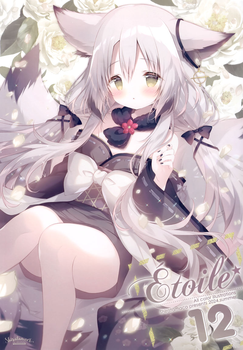 图片[1]-画师しらたま[しらたまこ]Étoile 12（Shiratama、白玉）画集图片包-忙忙软件库