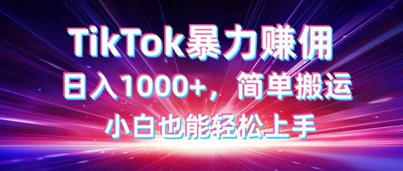（14402期）TikTok运送暴力行为赚佣，日入1000 ，简易运送，新手也可以快速上手-观竹阁