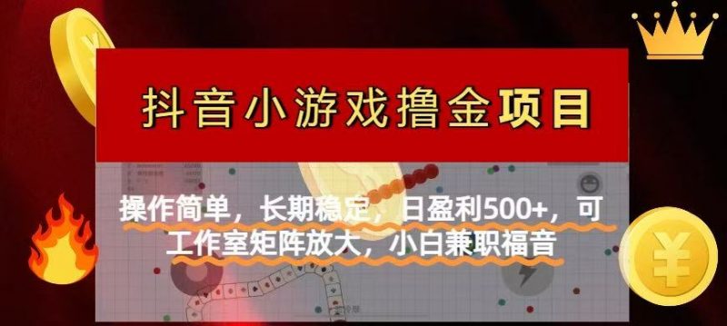 （14290期）【抖音小游戏外国投资者计划项目】使用方便，持续稳定，日赢利500 ，可工作中…-忙忙软件库