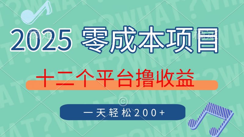 （14302期）2025年零成本新项目，十二个服务平台撸盈利，运单号一天轻轻松松200-忙忙软件库